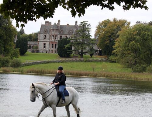 Your Equestrian Guide to Ireland