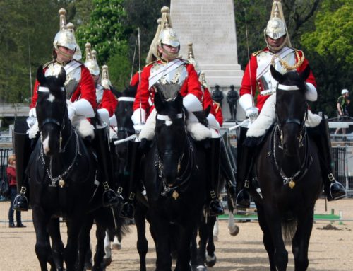 Some interesting facts about the Household Cavalry