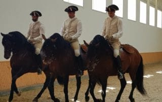 Portugese School of Equestrian Art - Lisbon