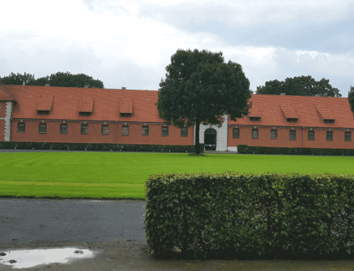 Celle State Horse Stud, Germany