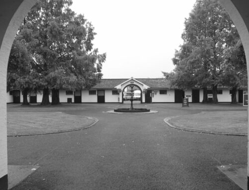 The Irish National Horse Stud