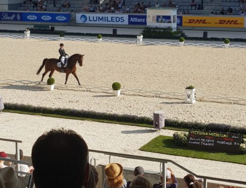 CHIO Aachen Equestrian Festival
