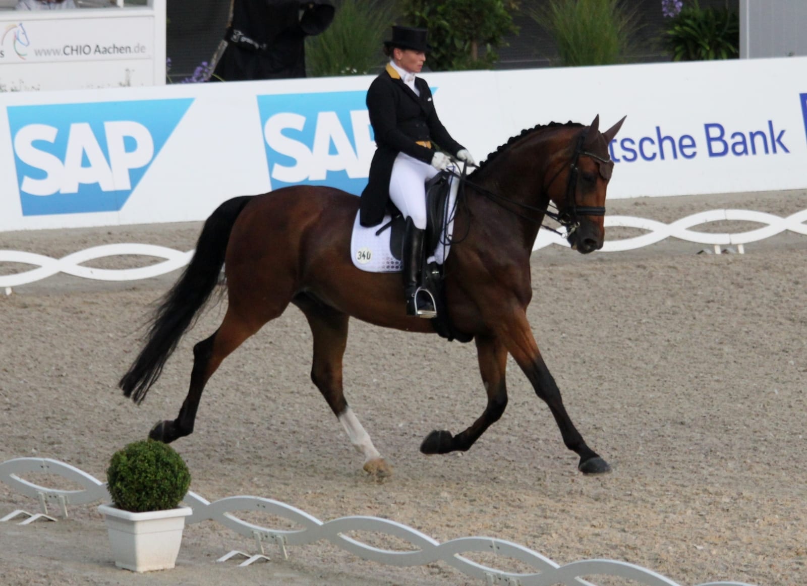 Equestrian Event Dates Worldwide