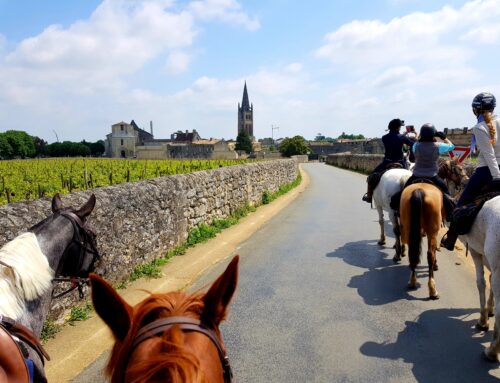 Wine Lovers Trail Ride, Bordeaux May 2018