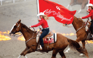 Calgary Stampede, Canada - Snaffle Travel