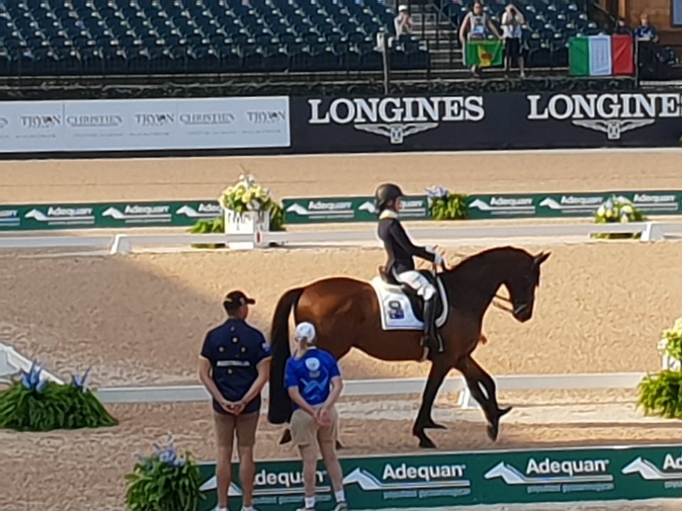 Paralympic Equestrian At Tokyo - Snaffle Travel