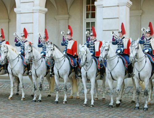 Did you know you can visit the Royal Stables in Copenhagen, Denmark?