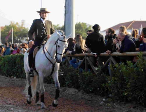 Golegã National Horse Fair – Portugal