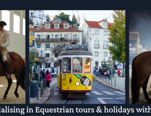 Your Equestrian Travel Guide to Portugal