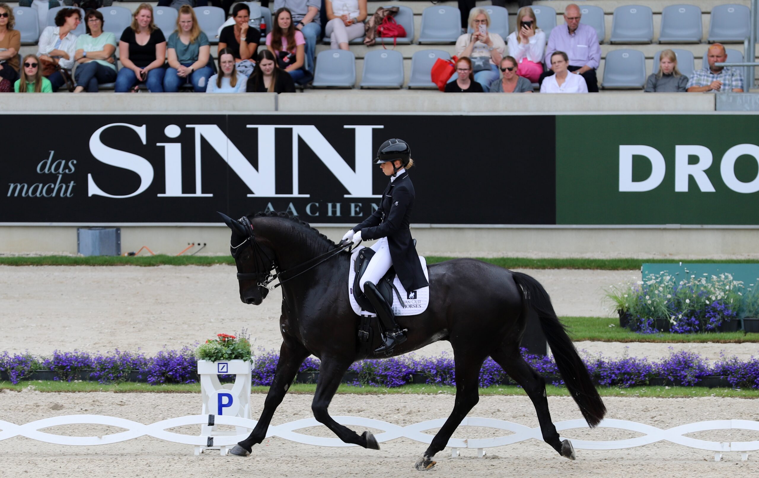 Snaffle Travel Tours