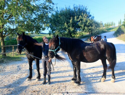 Combine Horses & Travel in Italy