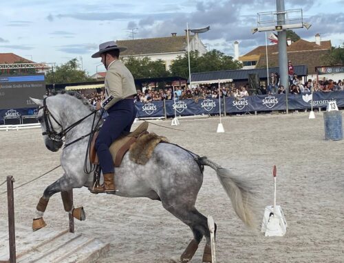 Your Equestrian Travel Guide to Portugal