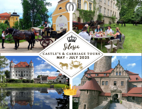 The Art & Tradition of Carriage Driving