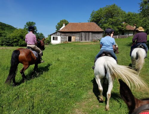 Transylvania Trail Romania – Snaffle Travel