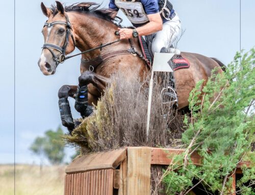 Longines Global Championships St Tropez May 2022, Equestrian Hub