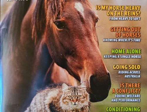 Behind the Scenes of Equestrian Travel – Snaffle Travel – Hoof Beats