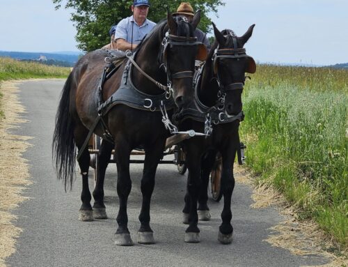 A Journey through time in Poland – Tania Huppatz – Snaffle Travel – Hoof Beats